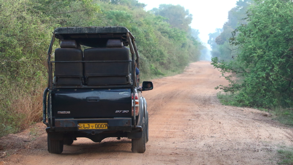 J19_9063 on safari in Wilpattu.JPG